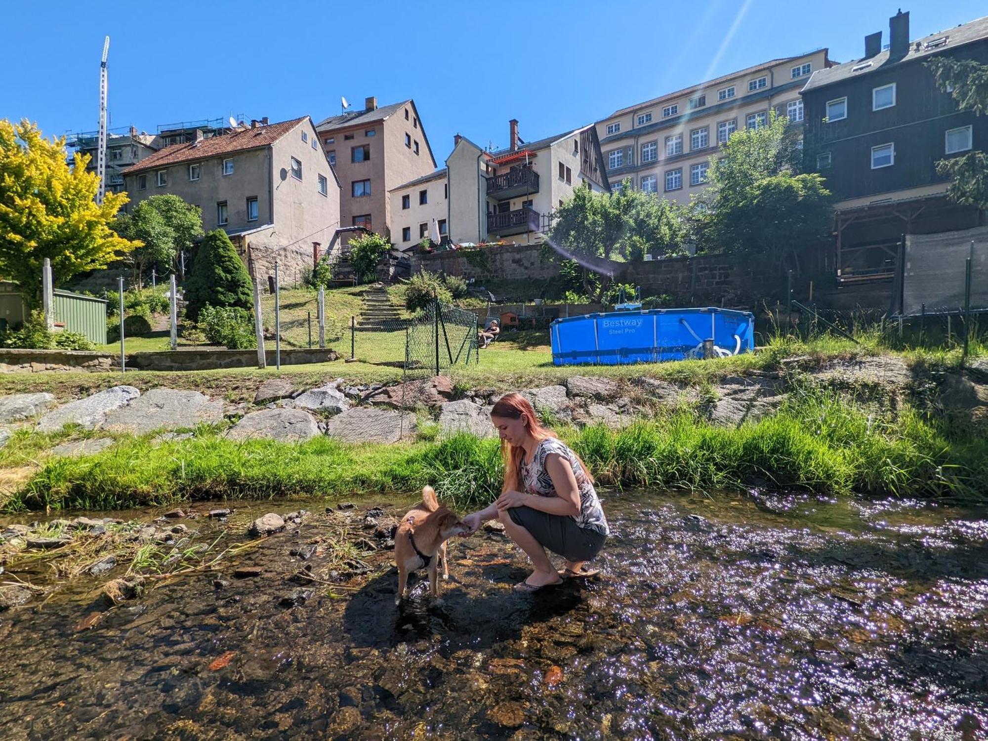 Hw2 - Urlaubsmagie - Sauna & Whirlpool Fuer Alle Sebnitz Extérieur photo